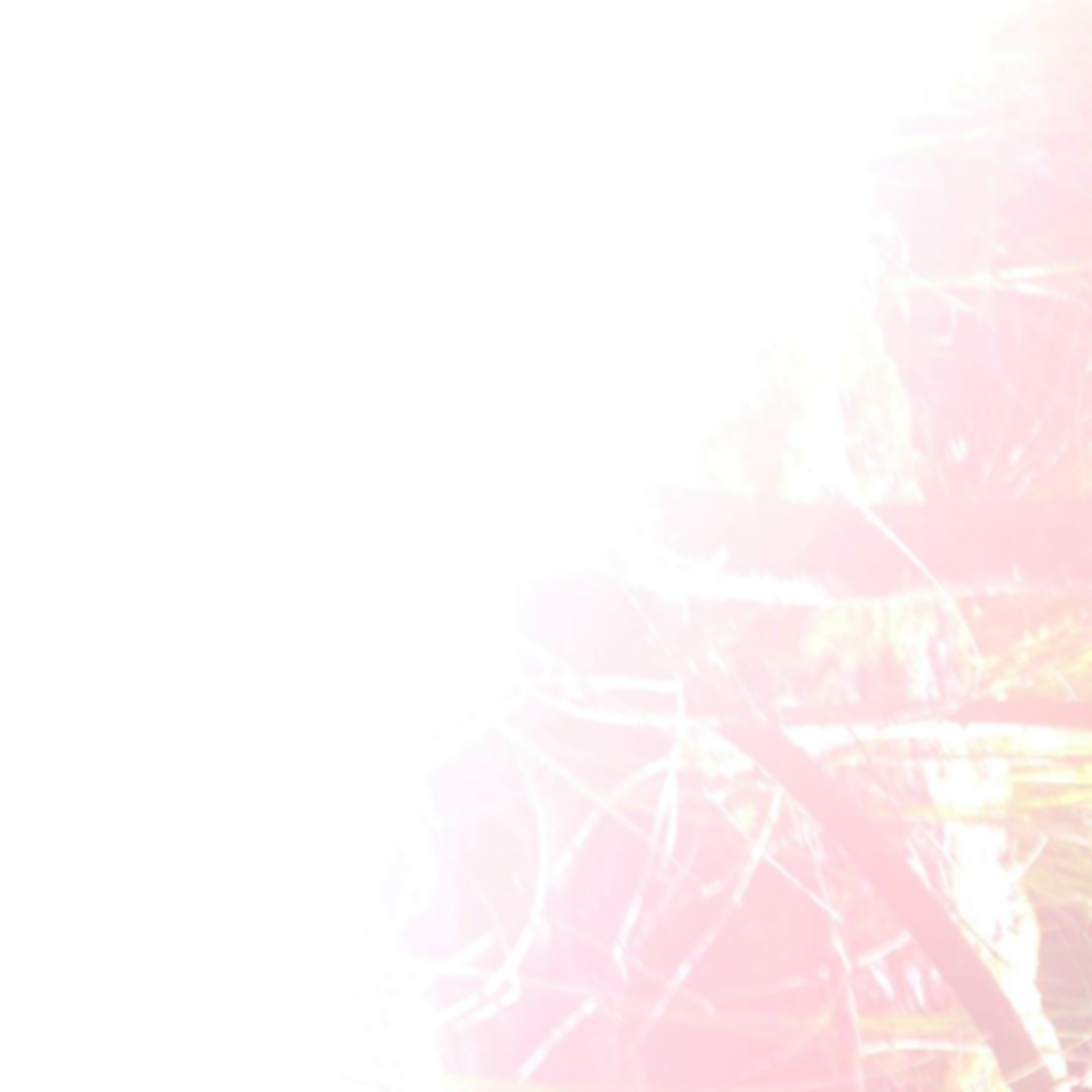 Holy Similaun – Radicor al flort, espert on'ill il erb, aor Raetia